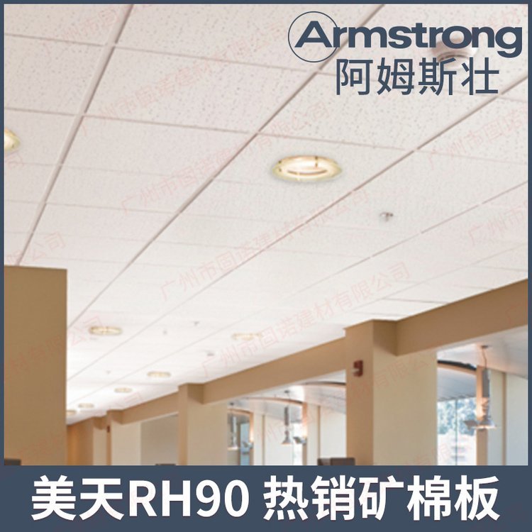 阿姆斯壯Armstrong美天系列礦棉板天花板室內(nèi)吊頂毛毛蟲