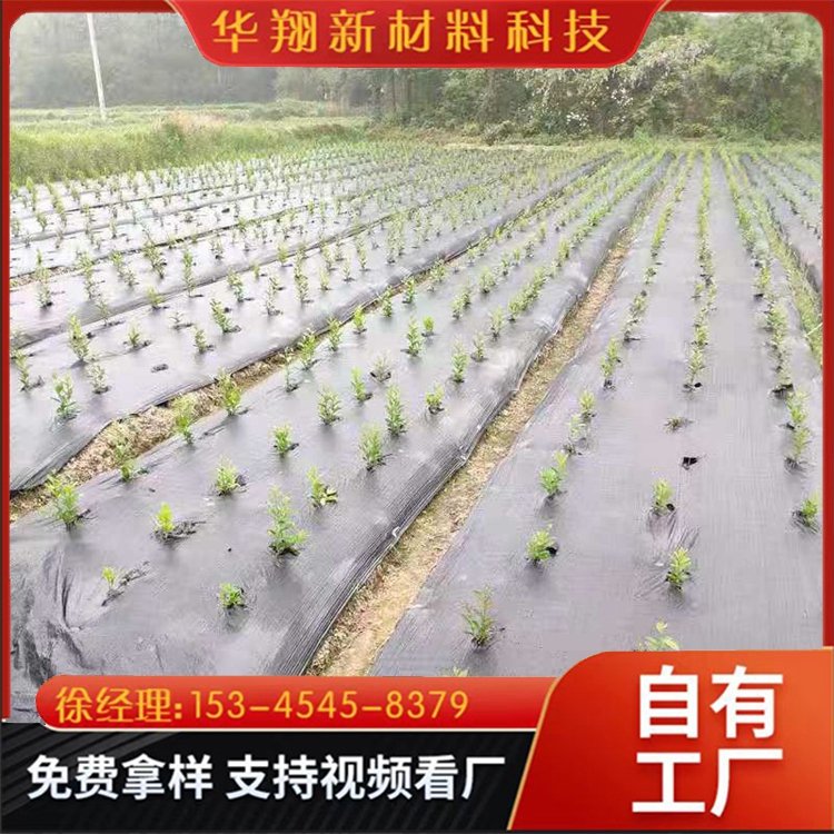 廠家加工新型農(nóng)用綠化抑草布耐腐蝕承接大型訂單