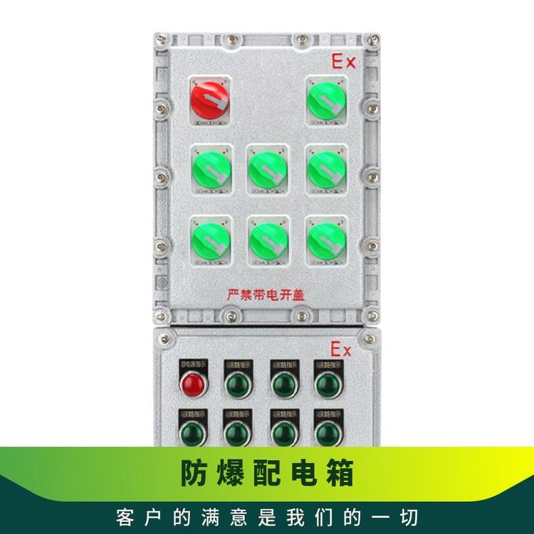 防爆控制箱-檢修箱照明動(dòng)力配電型號(hào)BXK電壓220V380