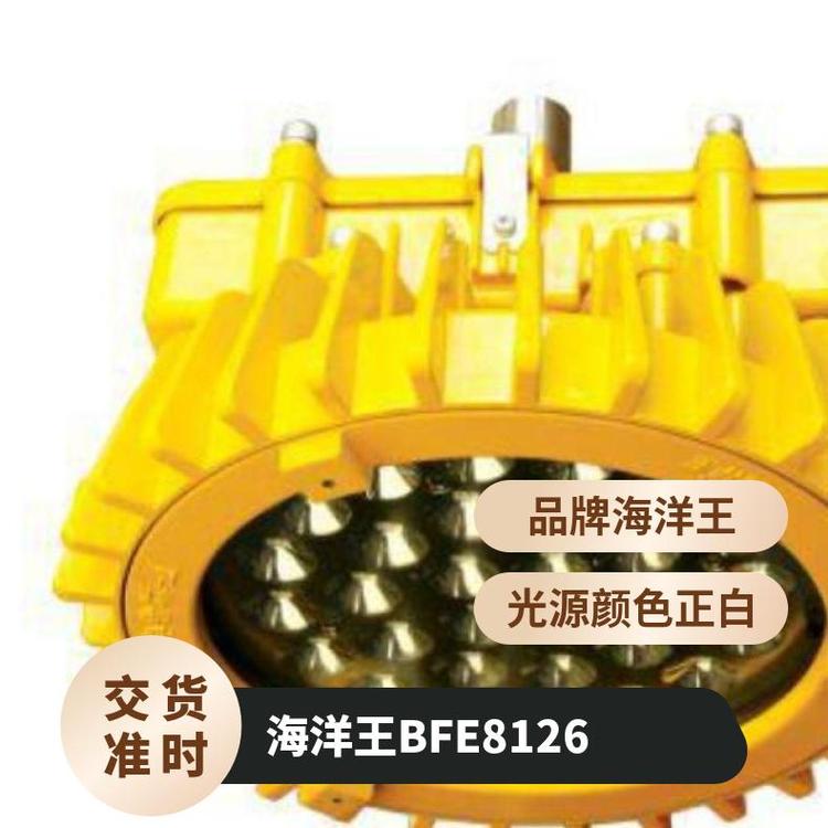 海洋王BFE8126LED防爆泛光應急燈正白浙江支架式IP657