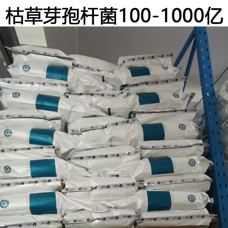 碧藍生物枯草芽孢桿菌100-1000億益生菌糞腸球菌