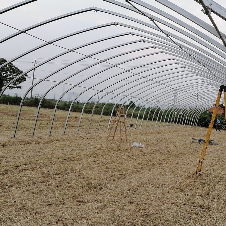 草莓種植大棚骨架溫室大棚鋼管寶宏鋼鐵采光性好