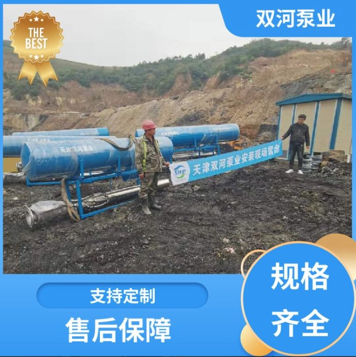 QF浮筒式潛水泵防汛排澇漂浮式排水泵大流量河道用雙浮桶式水泵