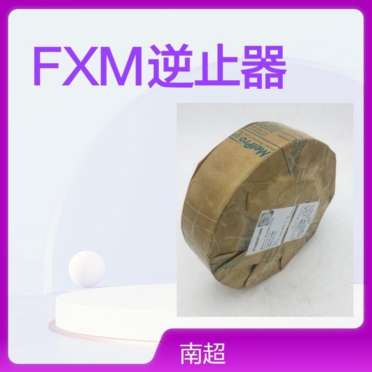 德國RINGSPANN進(jìn)口逆止器FXM120-50FXM100-50FXM140-40