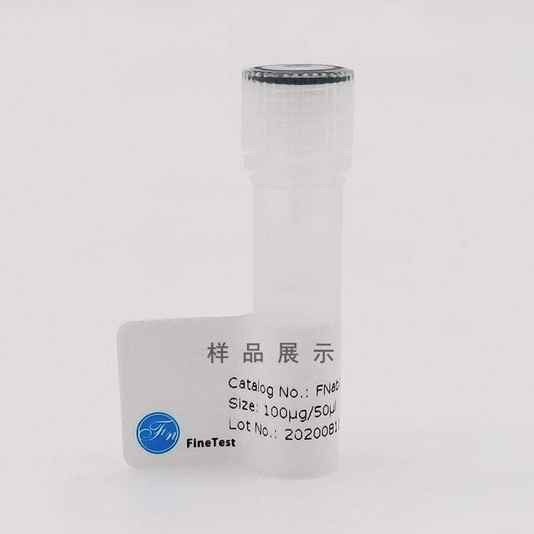 抗ADAR1抗體(anti-ADAR1antibody)