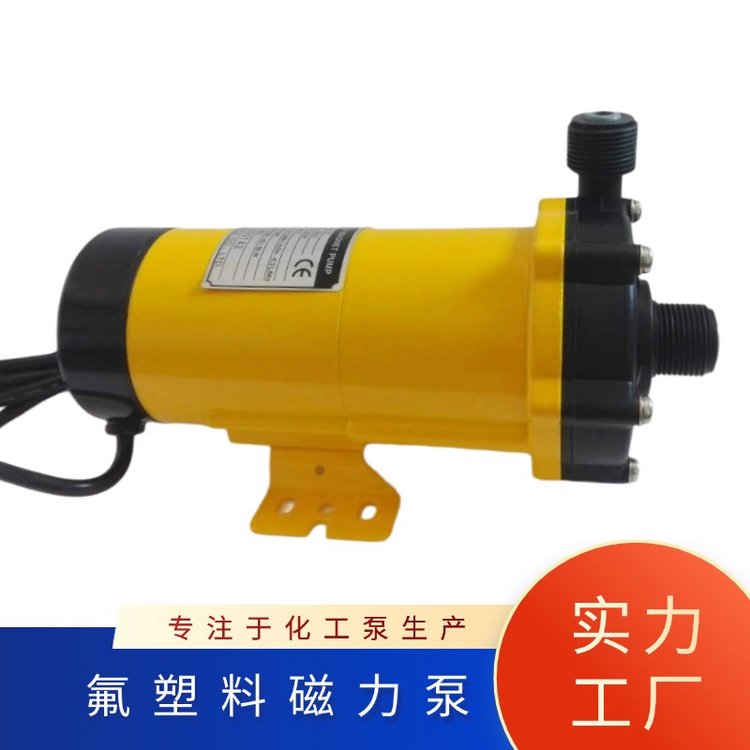 Panworld世博耐酸堿微型化工液體輸送NH-250PS-F聚四氟磁力泵