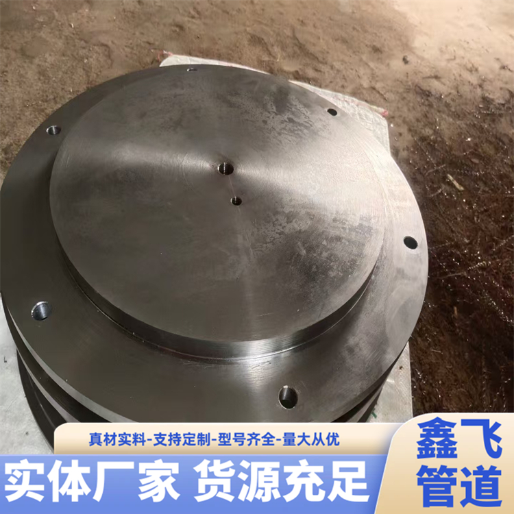 鑫飛管道可定做異型圖紙不銹鋼碳鋼對焊環(huán)板式松套法蘭