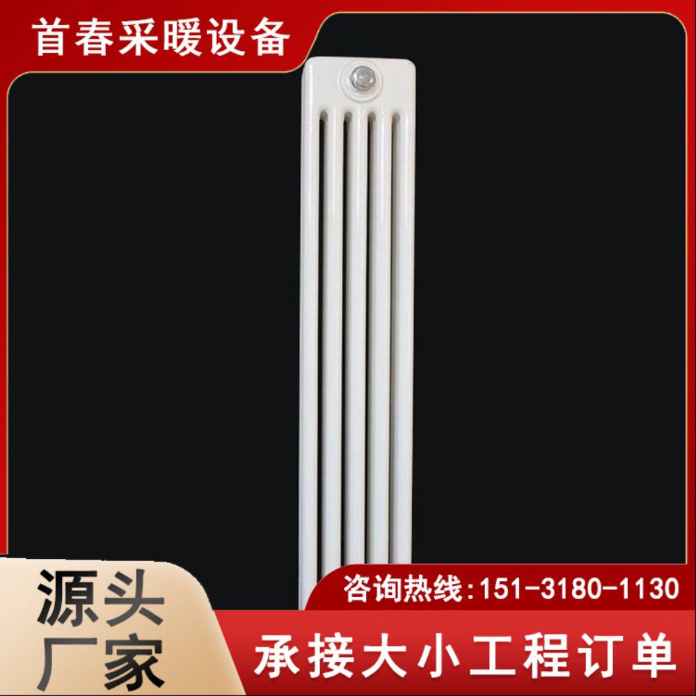 SQGZ509型鋼制柱形散熱器首春品牌廠家發(fā)貨支持定制