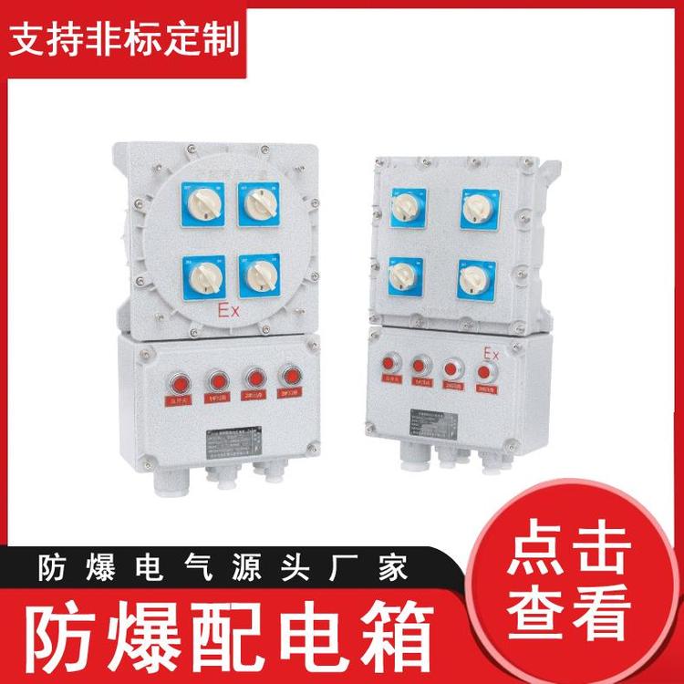 永源復(fù)合型防爆配電箱隔爆型爆炸性氣體環(huán)境分線箱