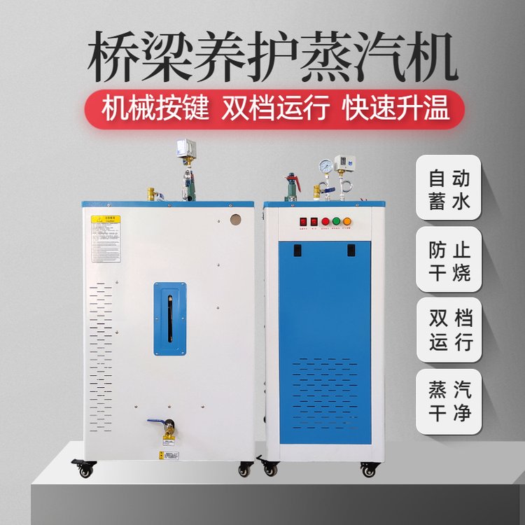 全自動(dòng)橋梁蒸汽機(jī)電加熱48kw蒸汽發(fā)生器混凝土養(yǎng)護(hù)器