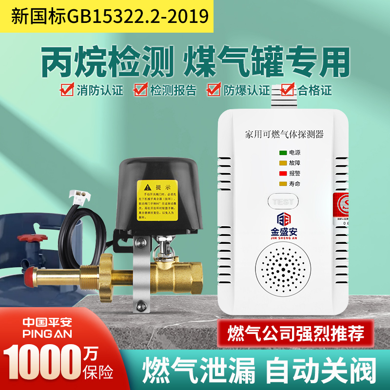 金盛安工廠家用燃?xì)庖夯瘹獗樘烊粴庖谎趸济簹庑孤短綔y(cè)報(bào)警器