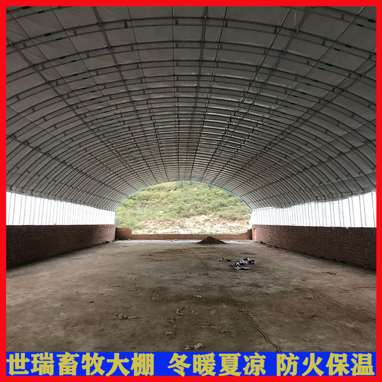 養(yǎng)雞場雞舍大棚建設肉雞養(yǎng)殖大棚搭建蛋雞舍大棚施工建造世瑞畜牧