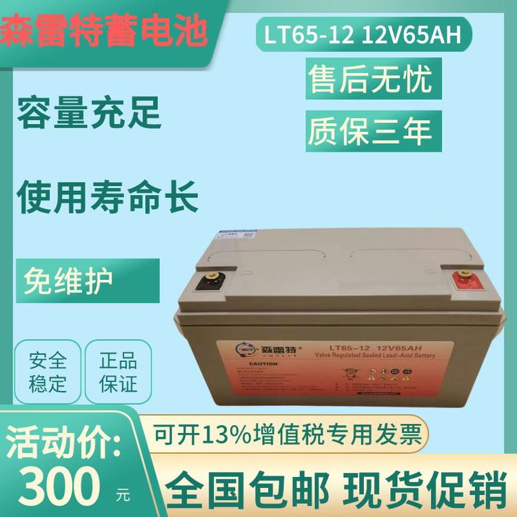 森雷特蓄電池12V65AH膠體UPS太陽能EPS閥控式免維護(hù)12V65AH保三年