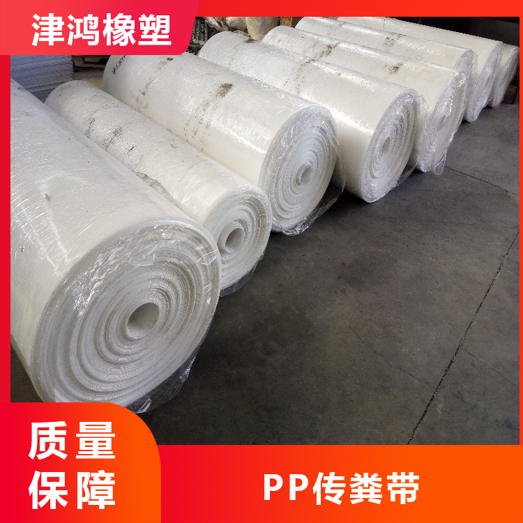 津鴻橡塑不跑偏韌性強養(yǎng)殖場專用PP材質(zhì)漏糞帶聚丙烯清糞帶可定制
