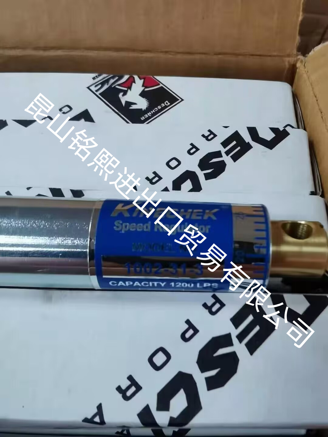 1002-31-3美國(guó)DESCHNERKINECHEK白馬穩(wěn)速器