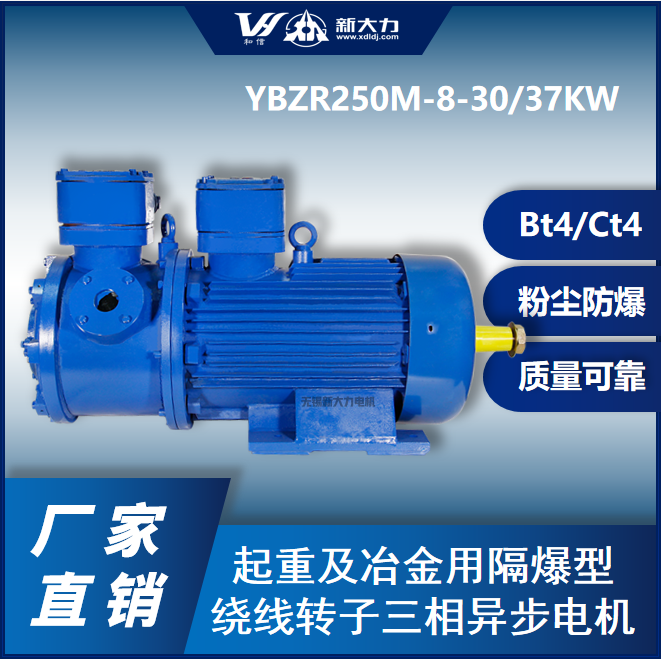 新大力起重隔爆型繞線(xiàn)轉(zhuǎn)子三相異步電機(jī)YBZR250M2-8-37KW粉塵防爆