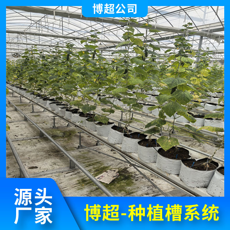 博超番茄高架種植槽水培種植架源頭廠家現(xiàn)代化農(nóng)業(yè)