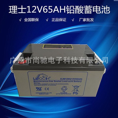 理士DJM126512V65AHUPS\/EPS直流屏機(jī)房服務(wù)器專用免維護(hù)蓄電池