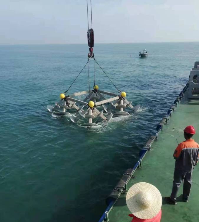 海洋生態(tài)修復(fù)和漁業(yè)海生物增殖用的各種人造礁石設(shè)計(jì)制造和投放