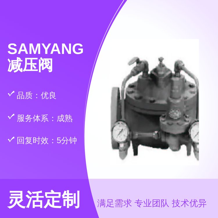 韓國(guó)三洋SAMYANG蒸汽減壓閥售后貼心品質(zhì)優(yōu)良靠譜成熟服務(wù)體系