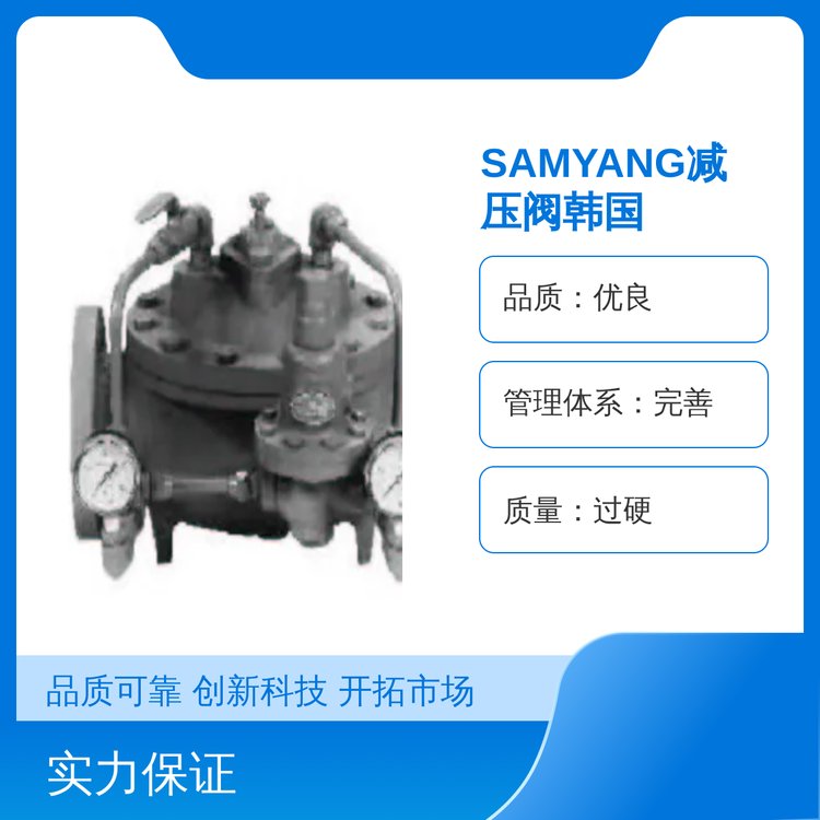 SAMYANG韓國(guó)蒸汽減壓閥不銹鋼法蘭規(guī)格齊全精細(xì)化工支持定制