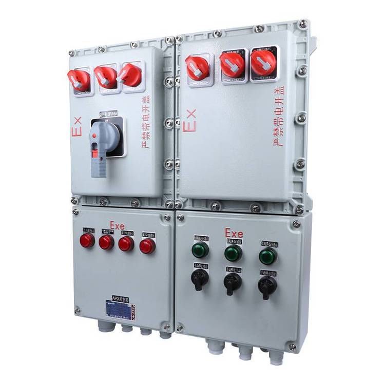 BXD(M)-6防爆照明箱六回路電廠配電箱BXD(M)-6\/10隔爆動力箱