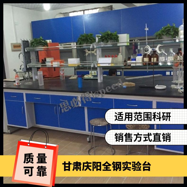 全鋼實驗臺PP通風柜鋼制雙瓶氣瓶柜操作臺廠家思必得speed