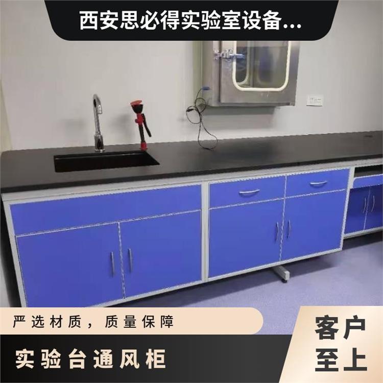 鋼木實(shí)驗(yàn)臺(tái)化驗(yàn)臺(tái)PP通風(fēng)柜防爆氣瓶柜廠家思必得speed