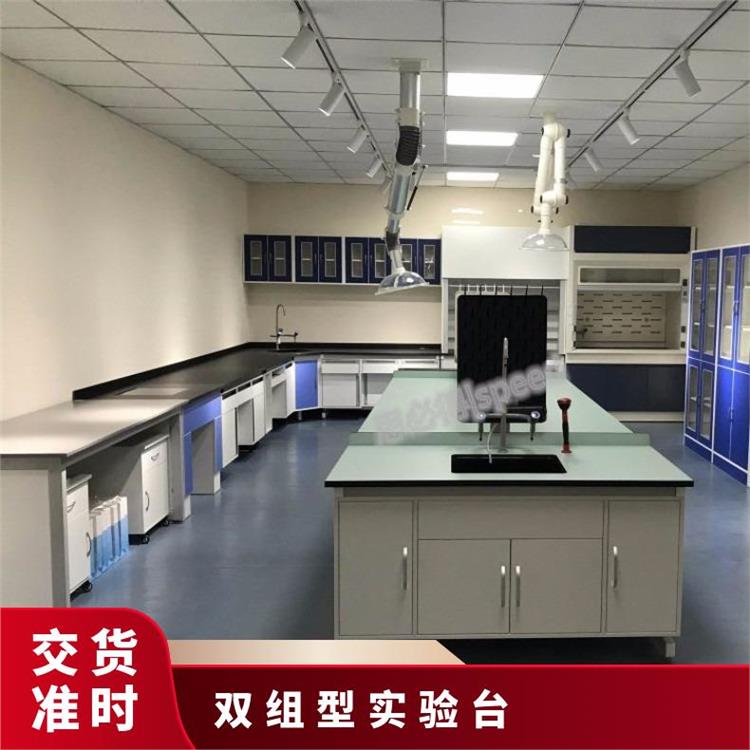 實驗室儀器柜制造化驗室化驗臺鋼木檢驗臺廠家-思必得speed