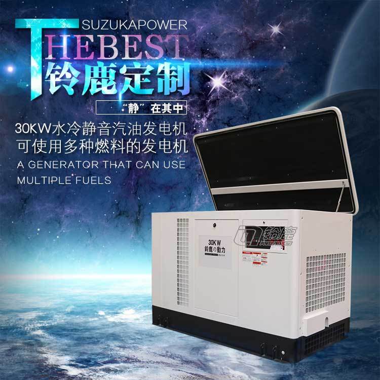 30KW鍗冪摝鎳�(y墨ng)鎬ラ潨闊虫苯娌圭櫦(f膩)闆绘姗熸埧鍌欑敤杌婅級闃叉睕闆绘簮閳撮箍SHL30REG