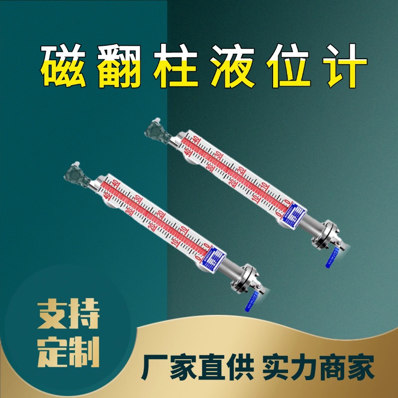 磁翻柱液位計實力廠家品質(zhì)優(yōu)越遠(yuǎn)距離傳輸TKWL-1600天康