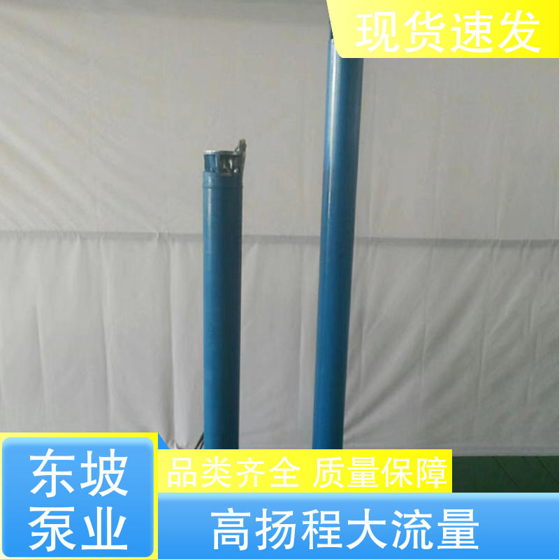 多作業(yè)環(huán)境防汛排澇熱水下吸式潛水泵津東質(zhì)量保障