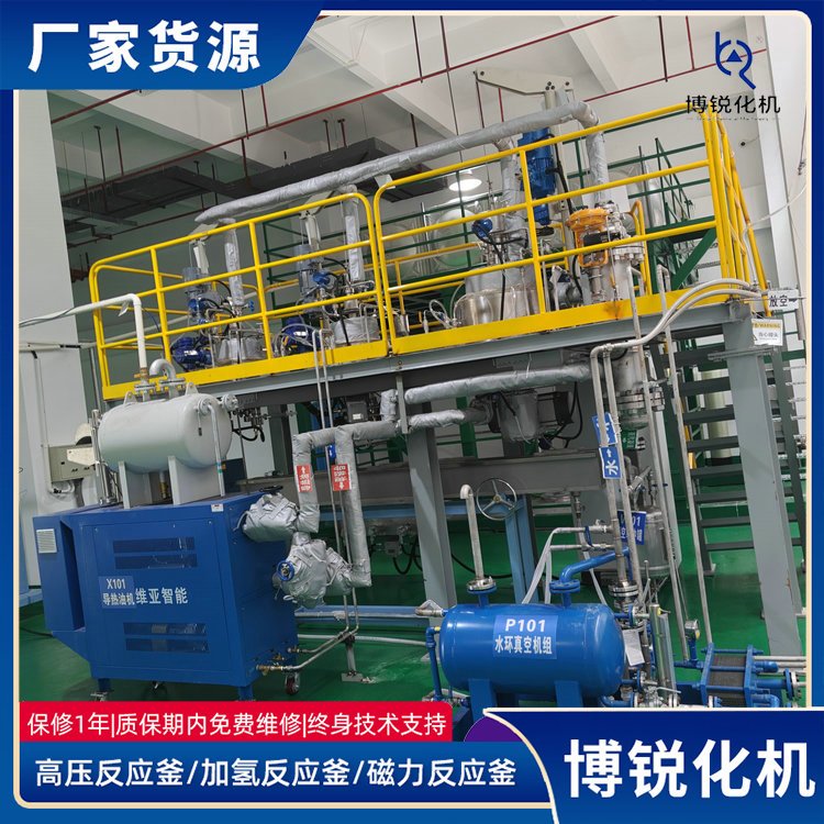 中試配套聚合裝置反應(yīng)釜實(shí)驗室用成套反應(yīng)系統(tǒng)定制廠家博銳化機(jī)
