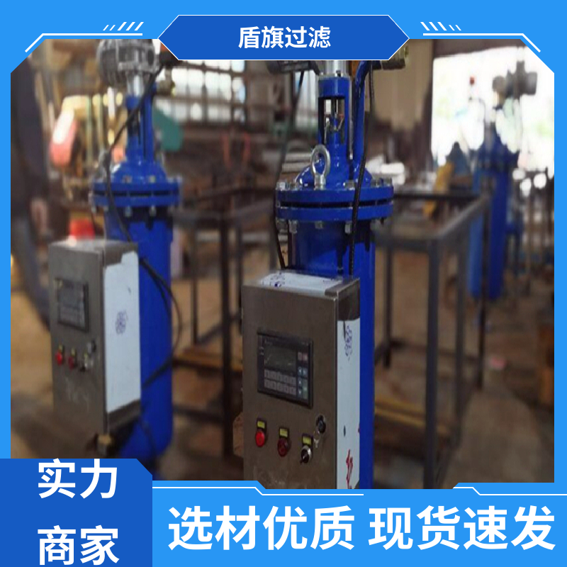規(guī)模生產(chǎn)新型自清洗過濾器定制綠色環(huán)保堅固耐用盾旗過濾