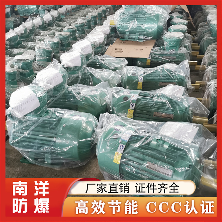 YBX4-CT4防爆電機實力廠家性能穩(wěn)定規(guī)格齊全