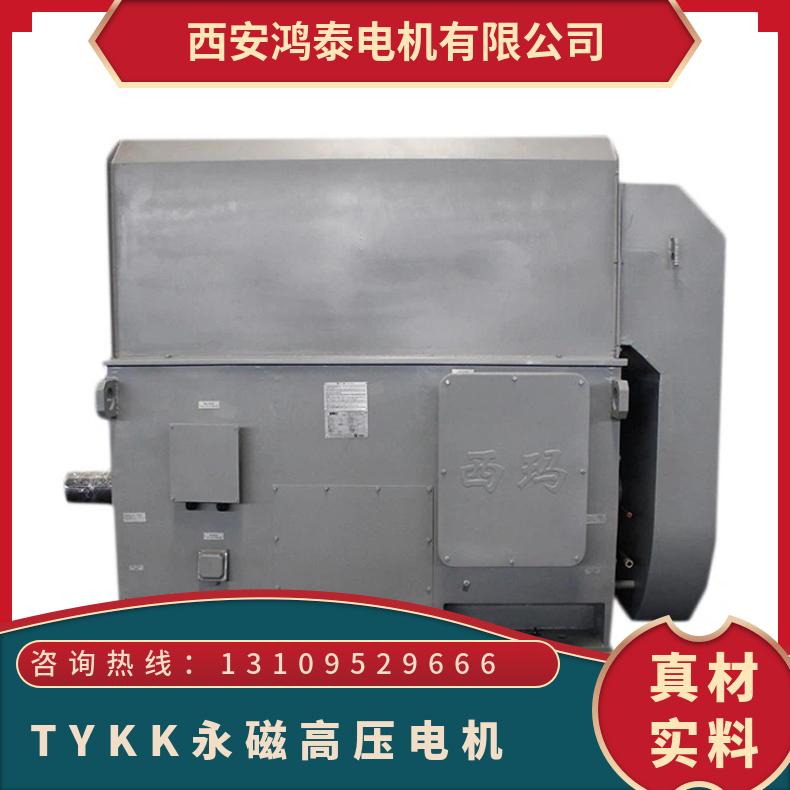 鴻泰TYKK500-12280千瓦12極永磁同步高壓電動(dòng)機(jī)動(dòng)態(tài)響應(yīng)好性能好