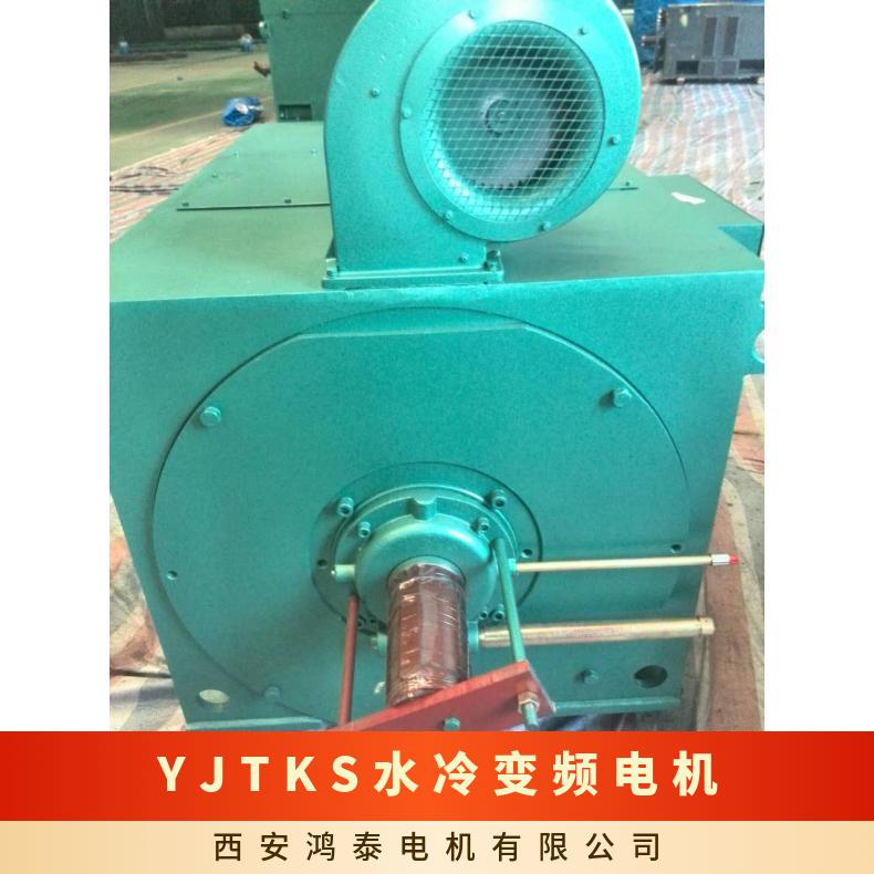 YJTKS水冷變頻電機(jī)2極額定電壓10000V三相異步電動(dòng)機(jī)效率98.3