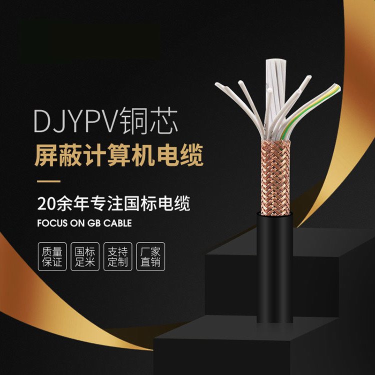 DJYPV屏蔽計算機電纜國標(biāo)安全定制電纜質(zhì)量保證