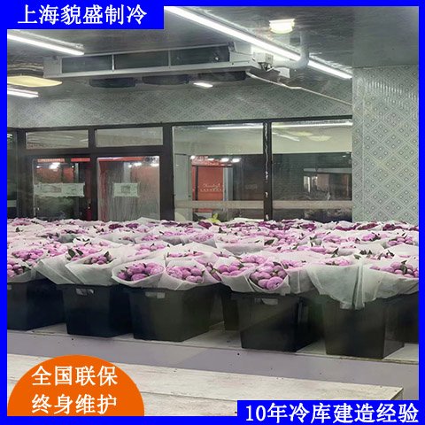 貌盛鮮花保鮮冷庫花店專業(yè)安裝設計建造資質齊全