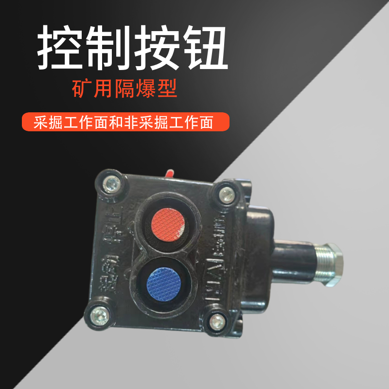 煤礦用隔爆型控制按鈕廠家生產(chǎn)防爆按鈕開關(guān)井下專用工廠供應(yīng)