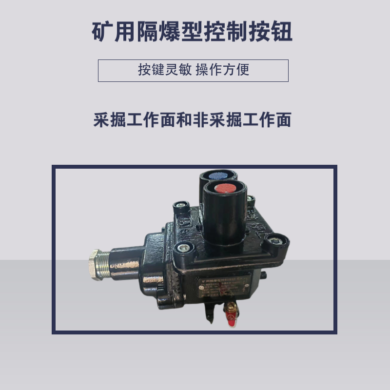 礦用二聯(lián)按鈕盒性能穩(wěn)定急停按鈕開關(guān)應(yīng)用范圍廣