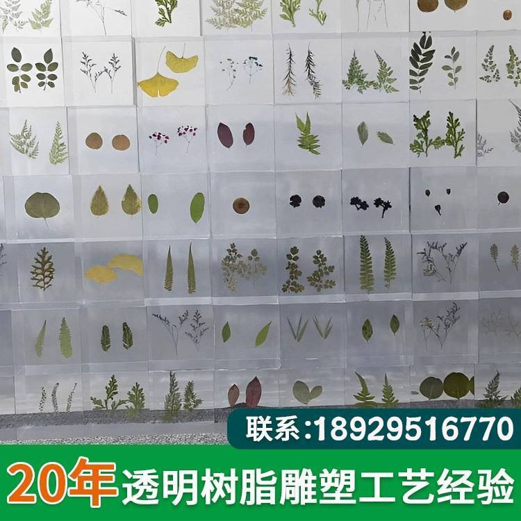 樹脂標(biāo)本內(nèi)墻裝飾品定制昆蟲花草標(biāo)本內(nèi)嵌創(chuàng)意擺件立體水晶裝飾品