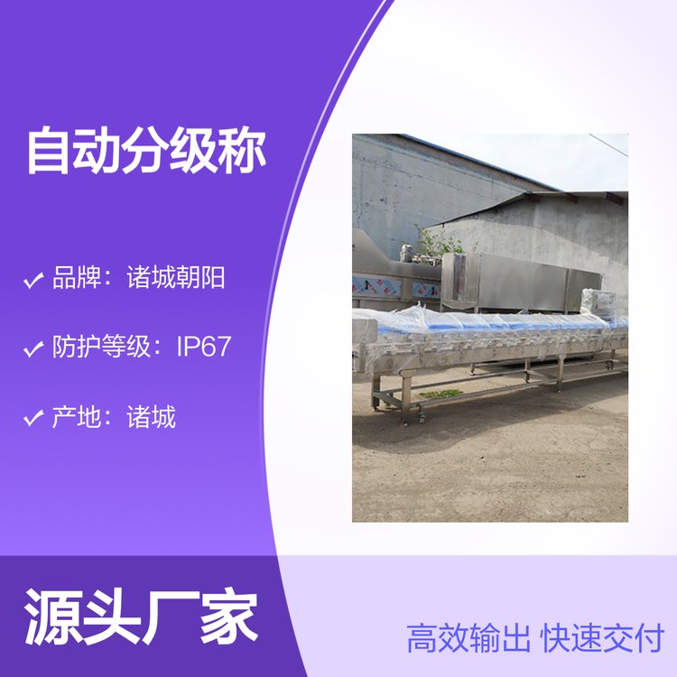 雞鴨自動(dòng)分級(jí)稱禽類酮體稱重設(shè)備節(jié)省人工操作簡便
