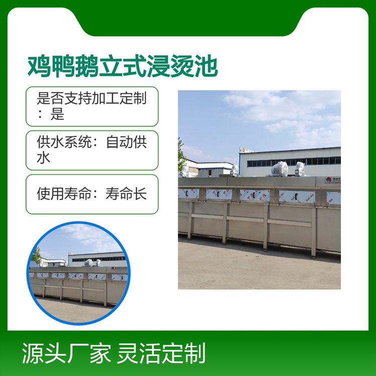 雞鴨鵝立式浸燙池不銹鋼設(shè)備生產(chǎn)效率高操作方便
