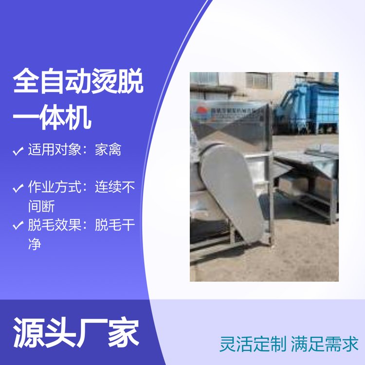 家禽全自動(dòng)燙脫一體機(jī)設(shè)備節(jié)省勞力高效處理