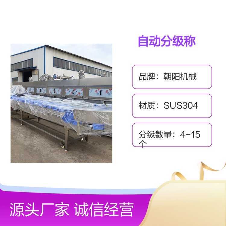 雞鴨胴體自動分級稱SUS304材質(zhì)禽類分級節(jié)省人力