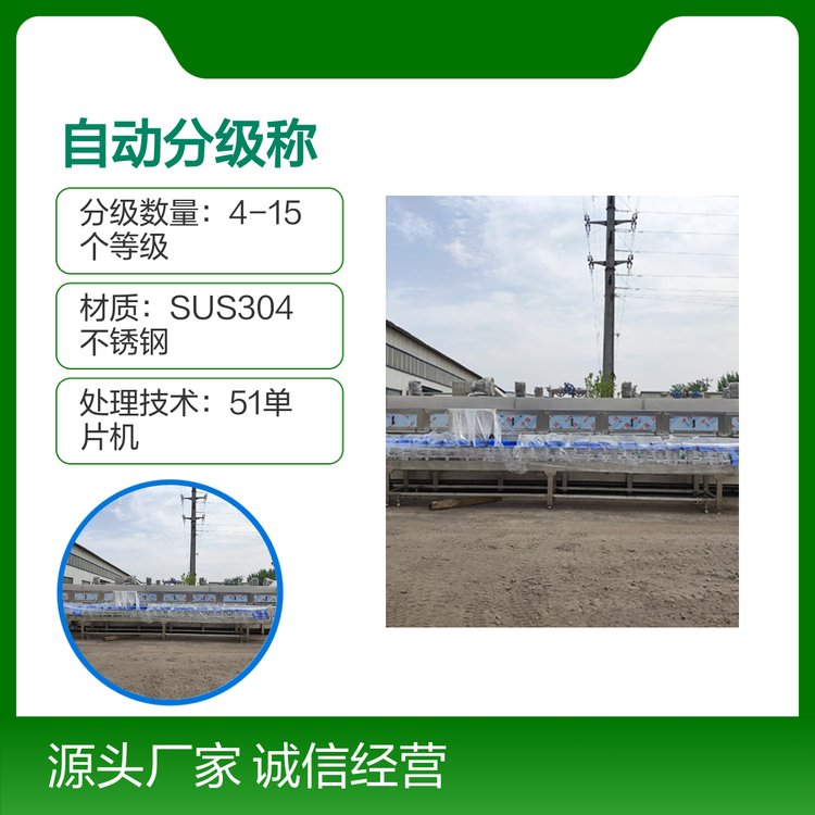 家禽自動分級稱全不銹鋼防水IP67