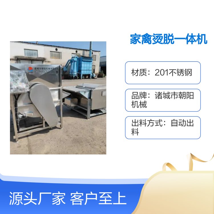 全自動(dòng)家禽燙脫一體機(jī)380v30KW運(yùn)行穩(wěn)定時(shí)效高產(chǎn)