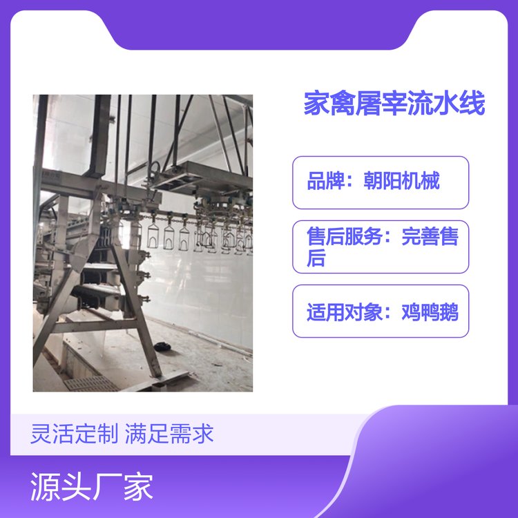 家禽屠宰流水線定制設備完善售后