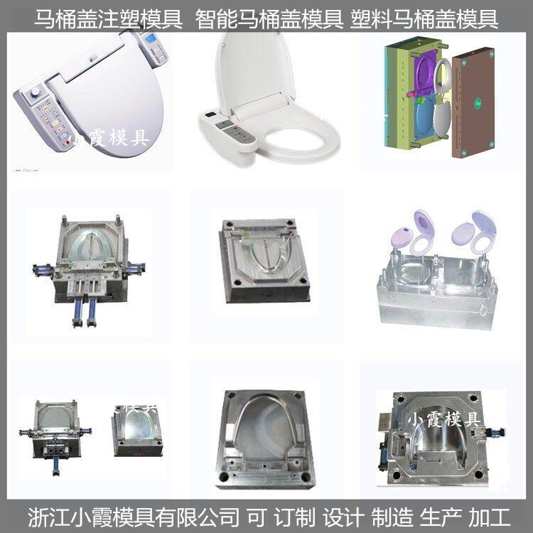 智能馬桶蓋塑膠模具智能馬桶蓋注塑模具\/設(shè)計加工制造小霞模具\模具廠公司\模具制作專做